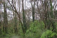 Property for sale in Randolph County, North Carolina