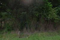 Property for sale in Johnston County, North Carolina