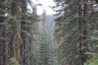 Property for sale in Plumas County, California