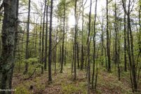 Property for sale in Berkshire County, Massachusetts