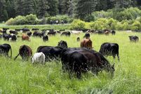 Property for sale in Grant County, Oregon