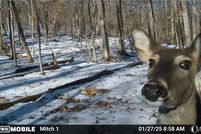 Lakefront Property for sale in Jefferson County, Missouri