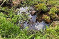 Property for sale in Colfax County, New Mexico