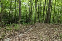 Undeveloped Land for sale in Jackson County, North Carolina