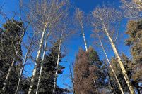 Property for sale in Colfax County, New Mexico