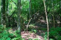 Undeveloped Land for sale in Transylvania County, North Carolina