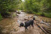 Lakefront Property for sale in Taos County, New Mexico
