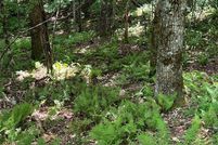 Property for sale in Jackson County, North Carolina