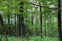 Property for sale in Macon County, North Carolina