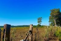 Undeveloped Land for sale in Stone County, Arkansas