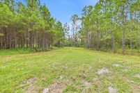 Undeveloped Land for sale in Taylor County, Florida