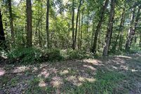 Undeveloped Land for sale in Carroll County, Georgia