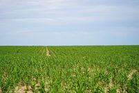 Undeveloped Land for sale in Stanton County, Kansas