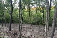 Property for sale in Taney County, Missouri