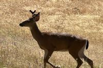 Property for sale in Jackson County, Oregon