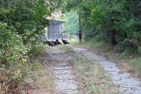 Property for sale in Eastland County, Texas