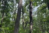 Property for sale in Newaygo County, Michigan