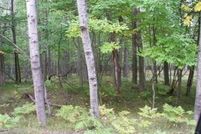 Undeveloped Land for sale in Mecosta County, Michigan