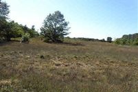 Undeveloped Land for sale in Oceana County, Michigan
