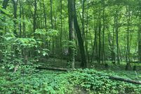 Property for sale in Branch County, Michigan