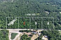 Undeveloped Land for sale in Montcalm County, Michigan