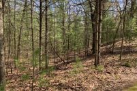 Undeveloped Land for sale in Mason County, Michigan