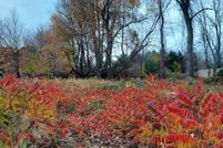 Property for sale in Montcalm County, Michigan