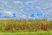 Property for sale in Hillsdale County, Michigan