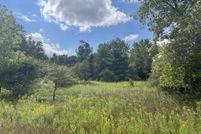 Undeveloped Land for sale in Montcalm County, Michigan