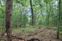 Property for sale in Lake County, Michigan