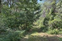 Undeveloped Land for sale in Osceola County, Michigan