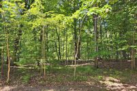 Property for sale in Mecosta County, Michigan