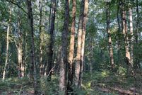 Property for sale in Lake County, Michigan