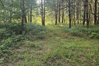 Property for sale in Manistee County, Michigan