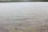 Property for sale in Antrim County, Michigan