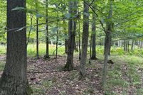 Property for sale in Manistee County, Michigan