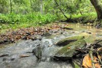 Property for sale in Fannin County, Georgia