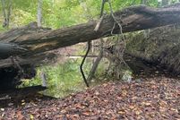 Property for sale in Halifax County, Virginia