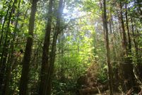 Property for sale in Charlotte County, Virginia