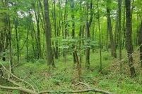 Property for sale in Tuscarawas County, Ohio