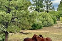 Property for sale in Rio Arriba County, New Mexico