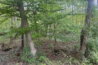 Property for sale in Shenandoah County, Virginia