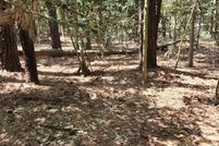 Undeveloped Land for sale in Talbot County, Maryland