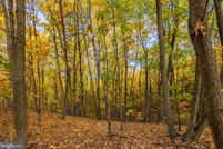 Property for sale in Page County, Virginia