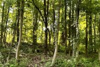 Undeveloped Land for sale in Calvert County, Maryland