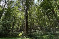 Undeveloped Land for sale in Carroll County, Maryland