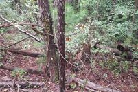 Property for sale in Clarke County, Alabama