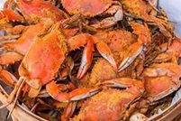 Undeveloped Land for sale in Somerset County, Maryland