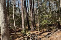 Undeveloped Land for sale in Charles County, Maryland