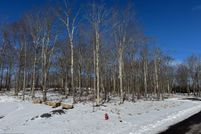 Undeveloped Land for sale in Garrett County, Maryland